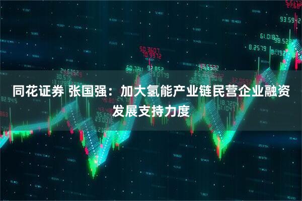 同花证券 张国强：加大氢能产业链民营企业融资发展支持力度