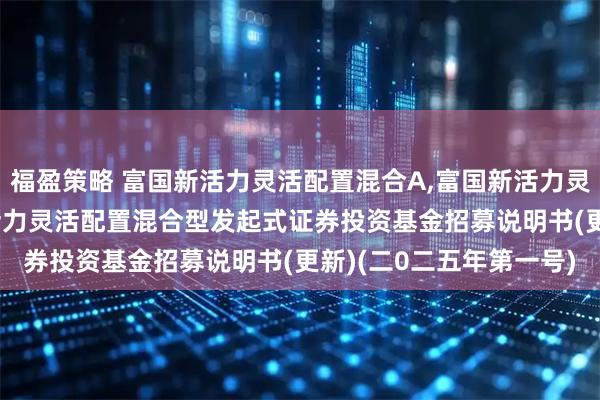 福盈策略 富国新活力灵活配置混合A,富国新活力灵活配置混合C: 富国新活力灵活配置混合型发起式证券投资基金招募说明书(更新)(二0二五年第一号)