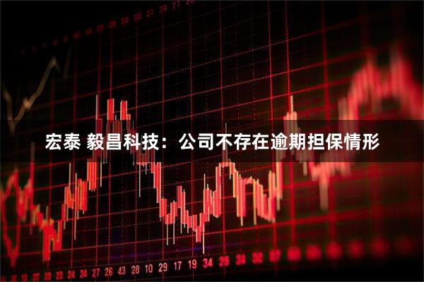 宏泰 毅昌科技：公司不存在逾期担保情形