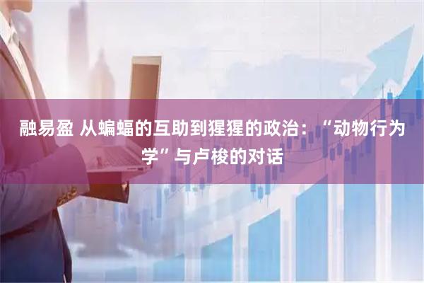 融易盈 从蝙蝠的互助到猩猩的政治：“动物行为学”与卢梭的对话