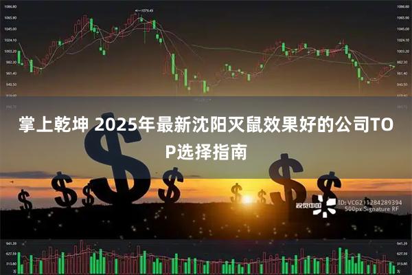 掌上乾坤 2025年最新沈阳灭鼠效果好的公司TOP选择指南